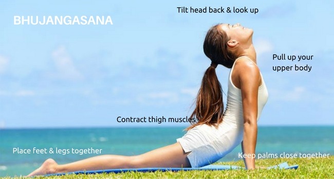 bhujanasana menstrual pain