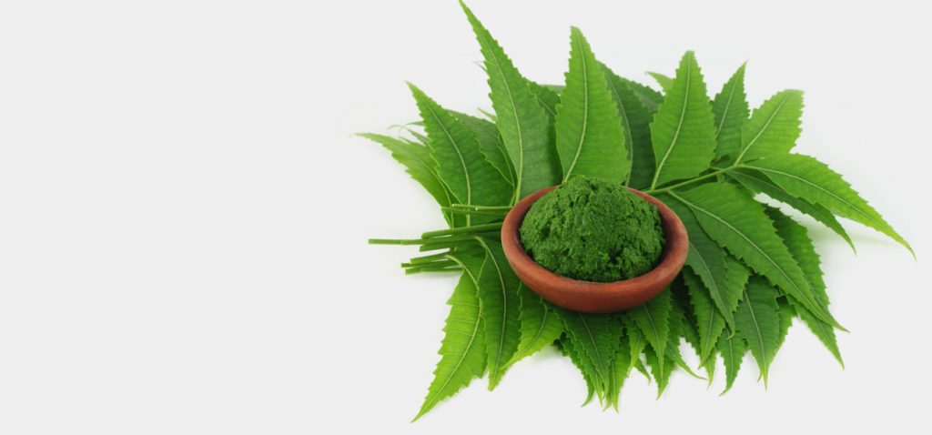 Benefits of Neem Leaves