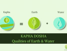 Understanding Pitta Dosha - Fire & Water - Ayurvedum