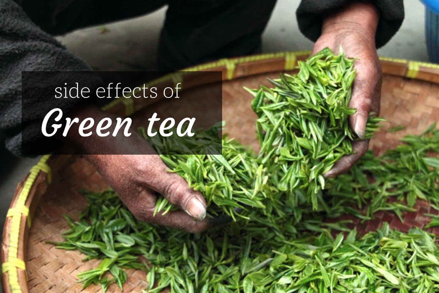 Green Tea Side Effects Tamil