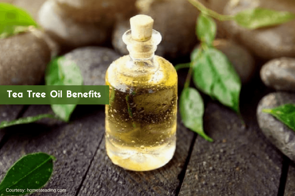 Tea Tree Oil Uses