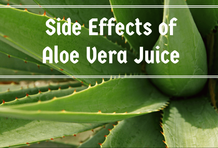 Side Effects Of Aloe Vera Juice Ayurvedum 6688
