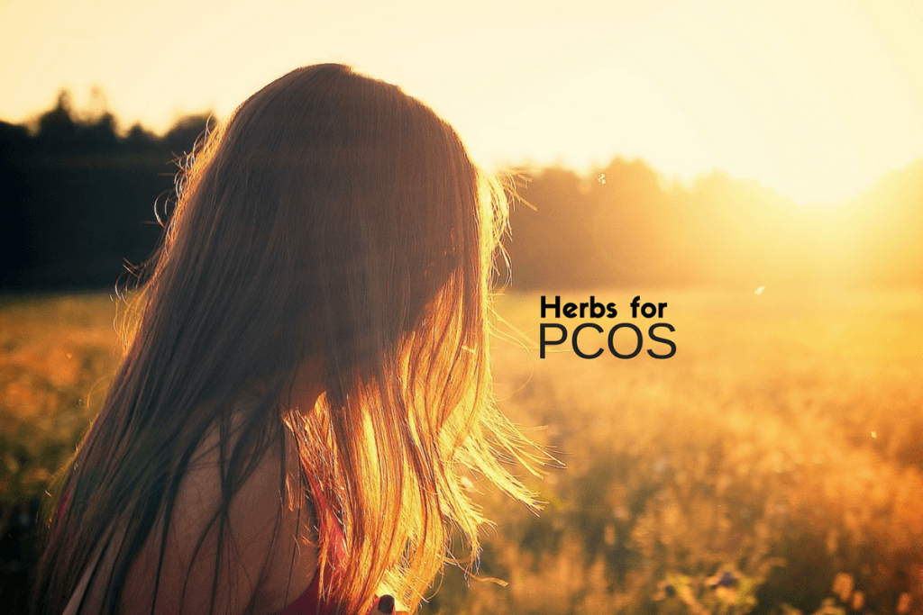 Ayurvedic herbs for PCOS