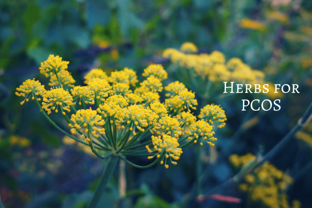 Ayurvedic herbs for PCOS