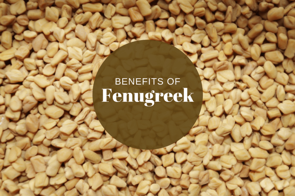 fenugreek ayurveda benefits