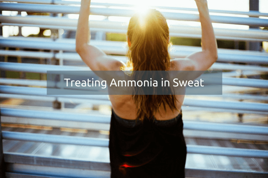 sweat smells like ammonia