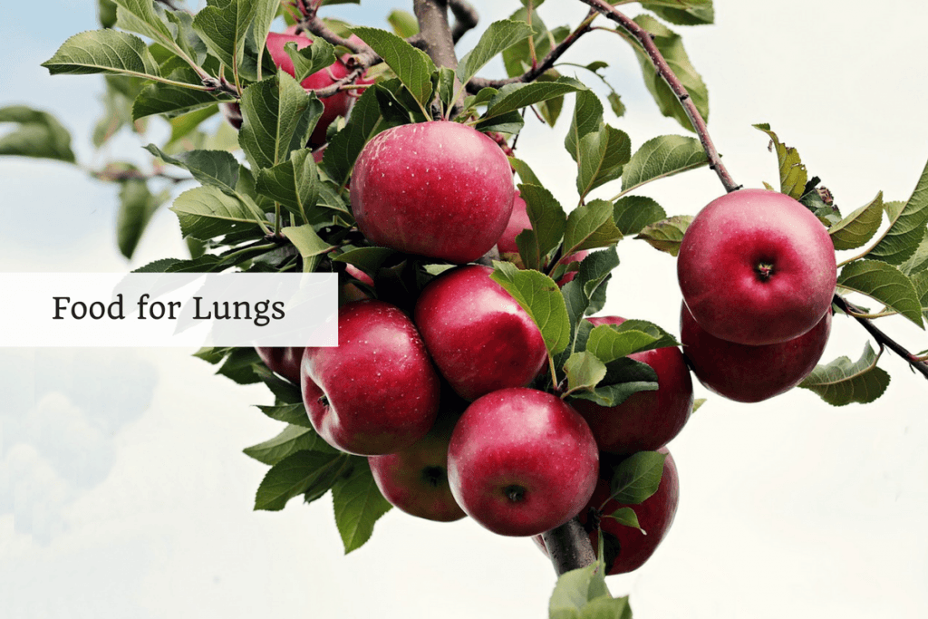 Food for Lungs