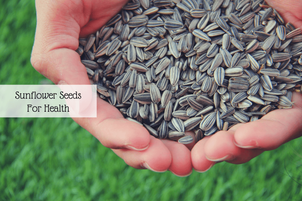 sunflower seeds benefits