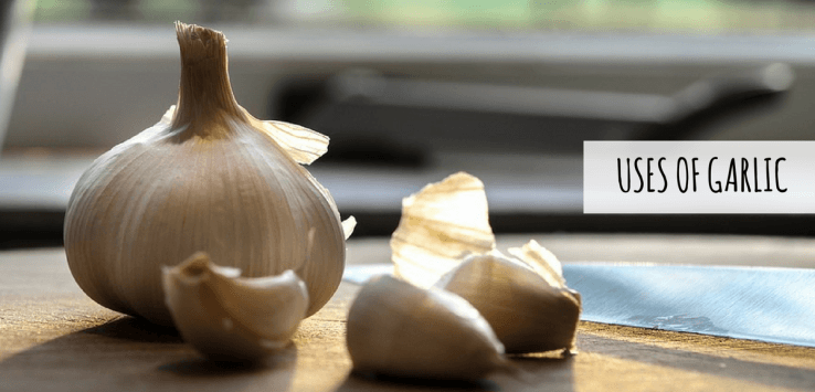 benefits of eating garlic