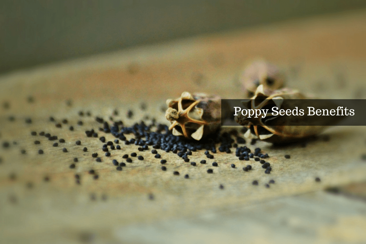 6 Poppy Seeds Benefits You Ought To Know About   Poppy Seeds Benefits 