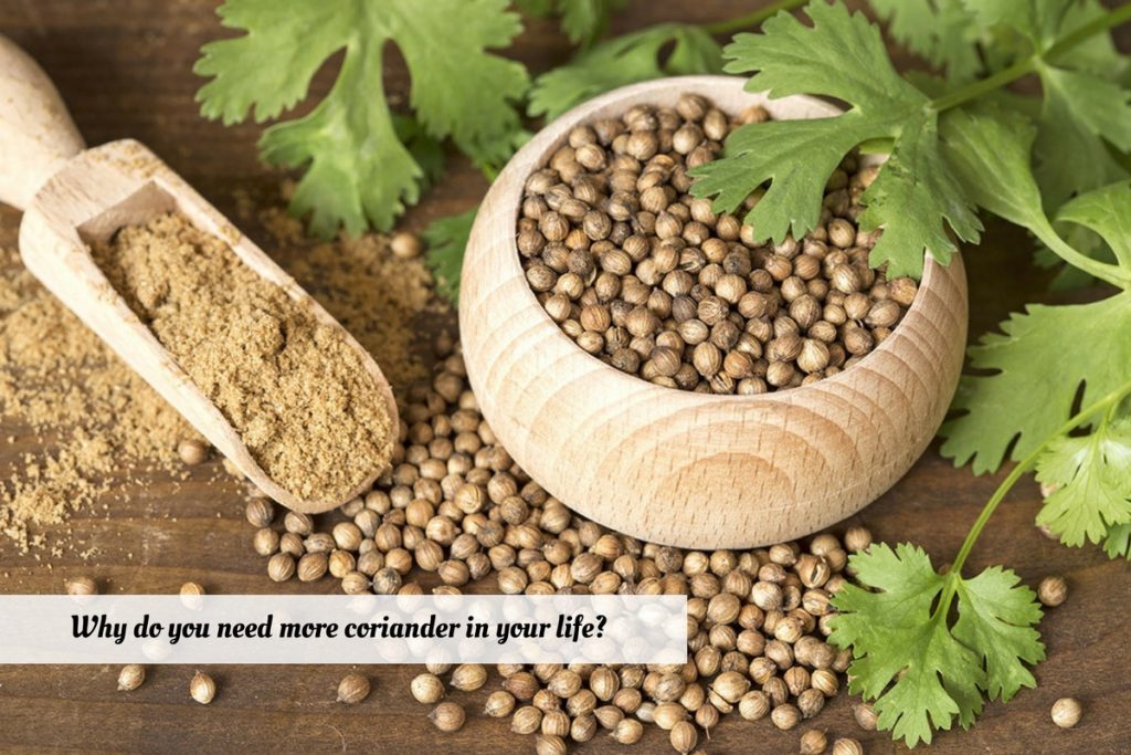 Coriander Benefits And Uses_Ayurvedum