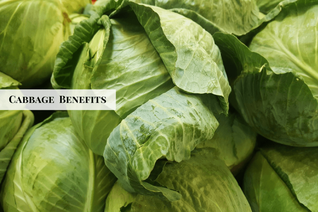 cabbage benefits