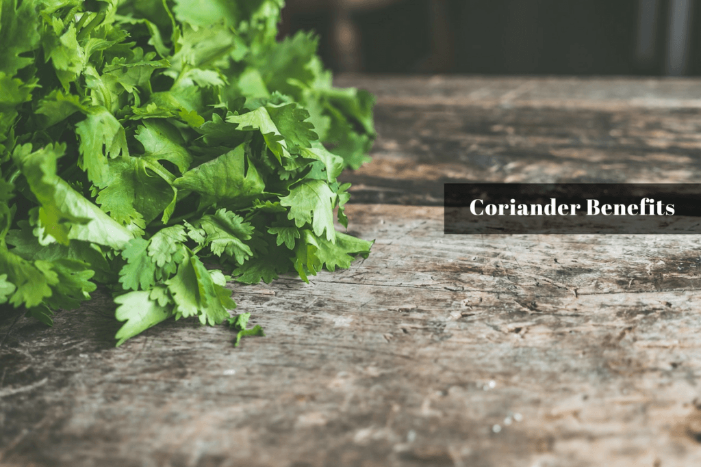 coriander benefits