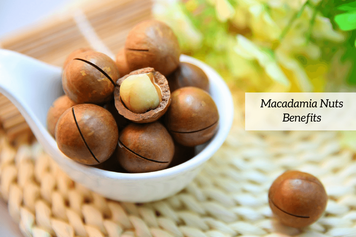 6 Macadamia Nuts Health Benefits Worth Discovering Now