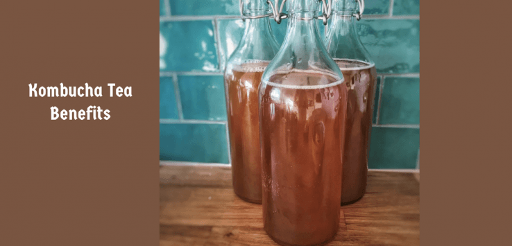 kombucha health benefits