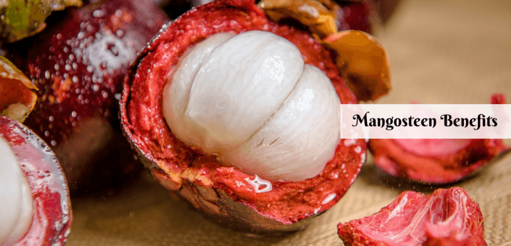 mangosteen fruit