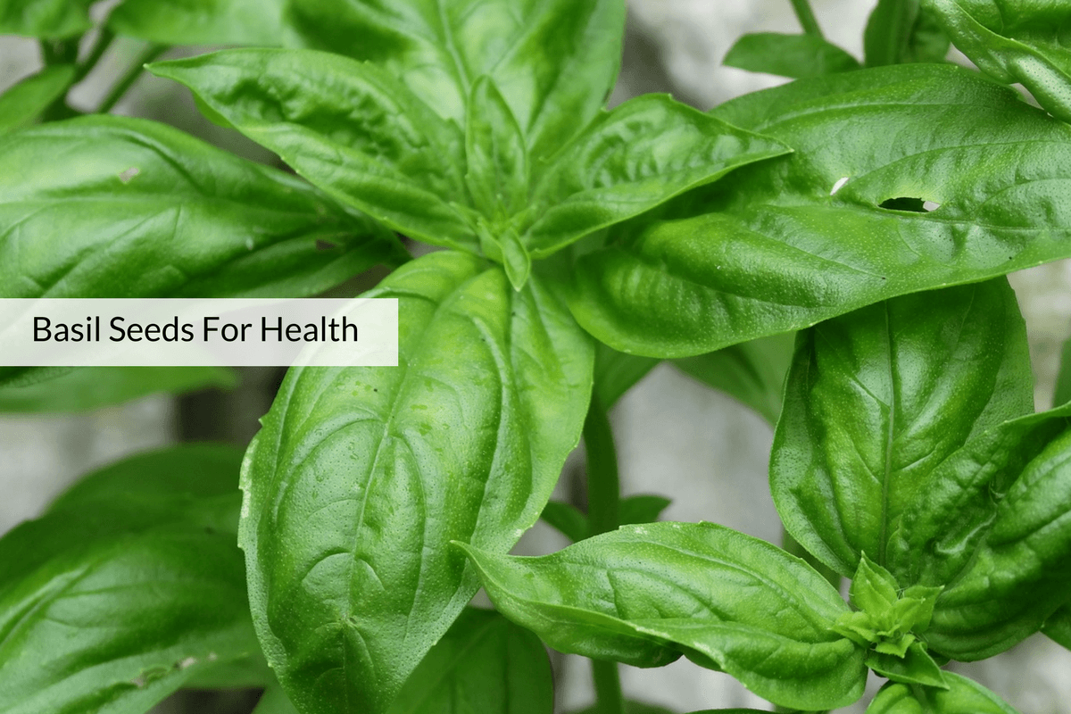 6 Reasons To Add Sabja a.k.a Basil Seeds To Your Daily Diet