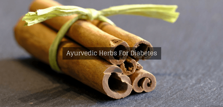 herbs for diabetes
