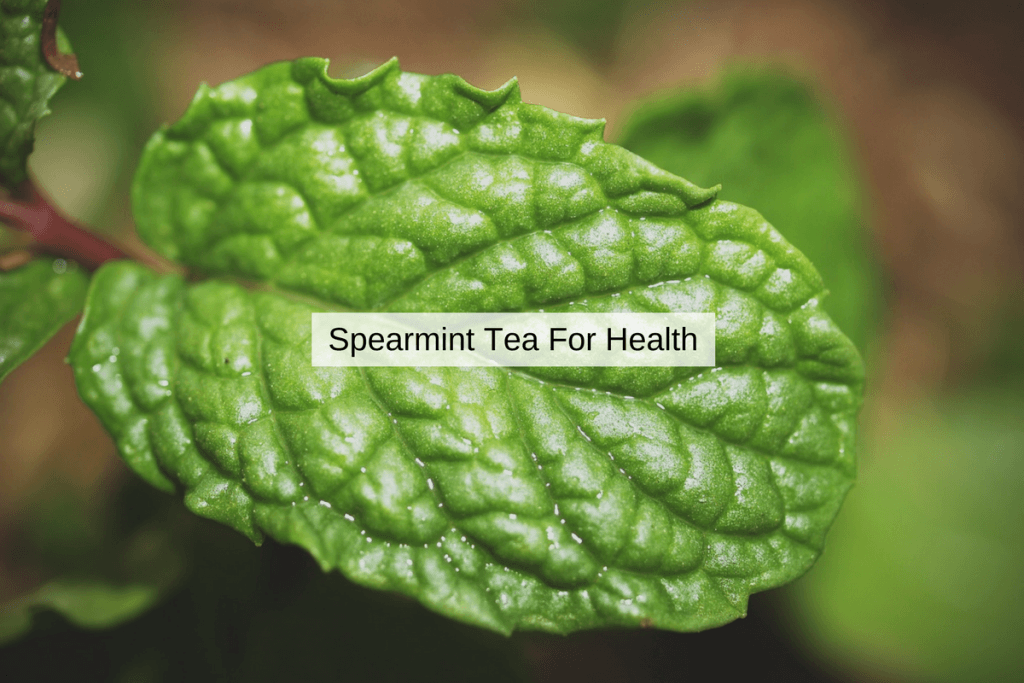 spearmint tea benefits