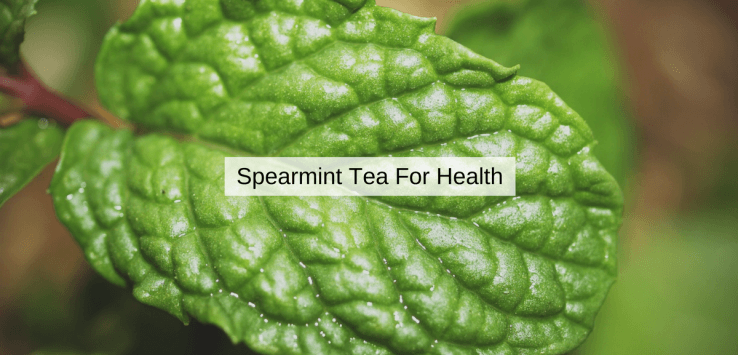 spearmint tea benefits