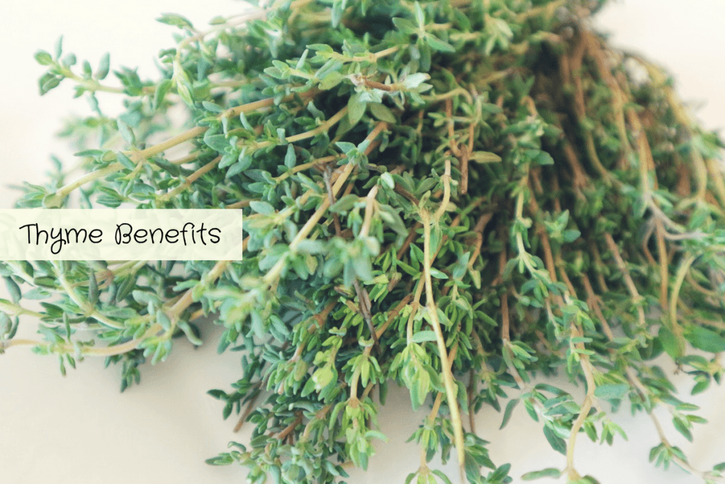 Benefits of Thyme