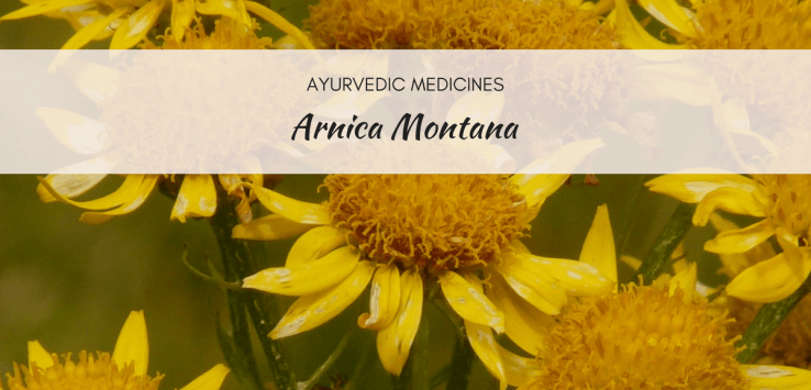 arnica montana