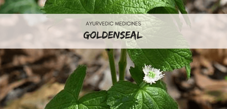 goldenseal