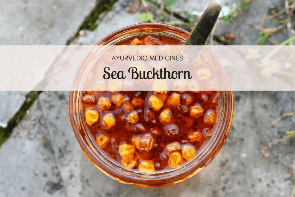 sea buckthorn benefits