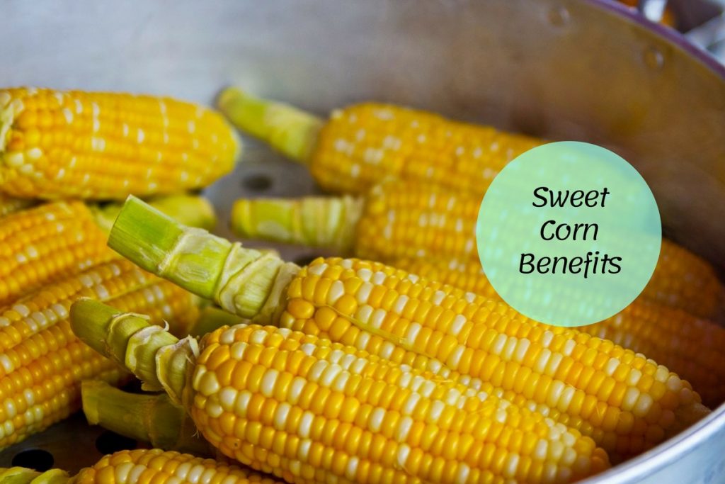 Sweet-Corn-Benefits - Ayurvedum