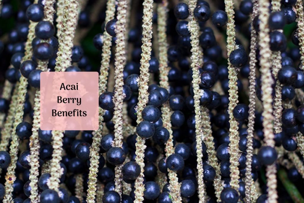 acai fruit