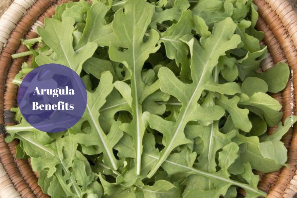 arugula benefits