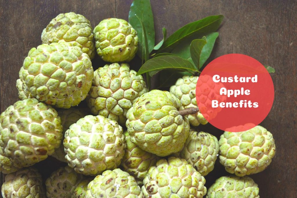 custard apple benefits