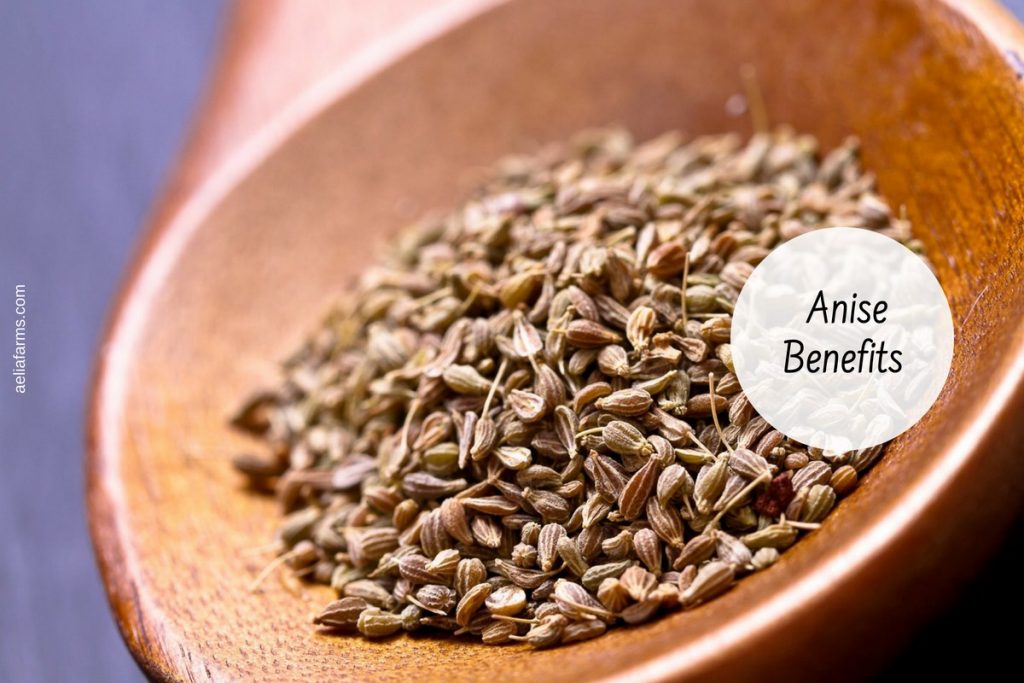 health benefits of anise