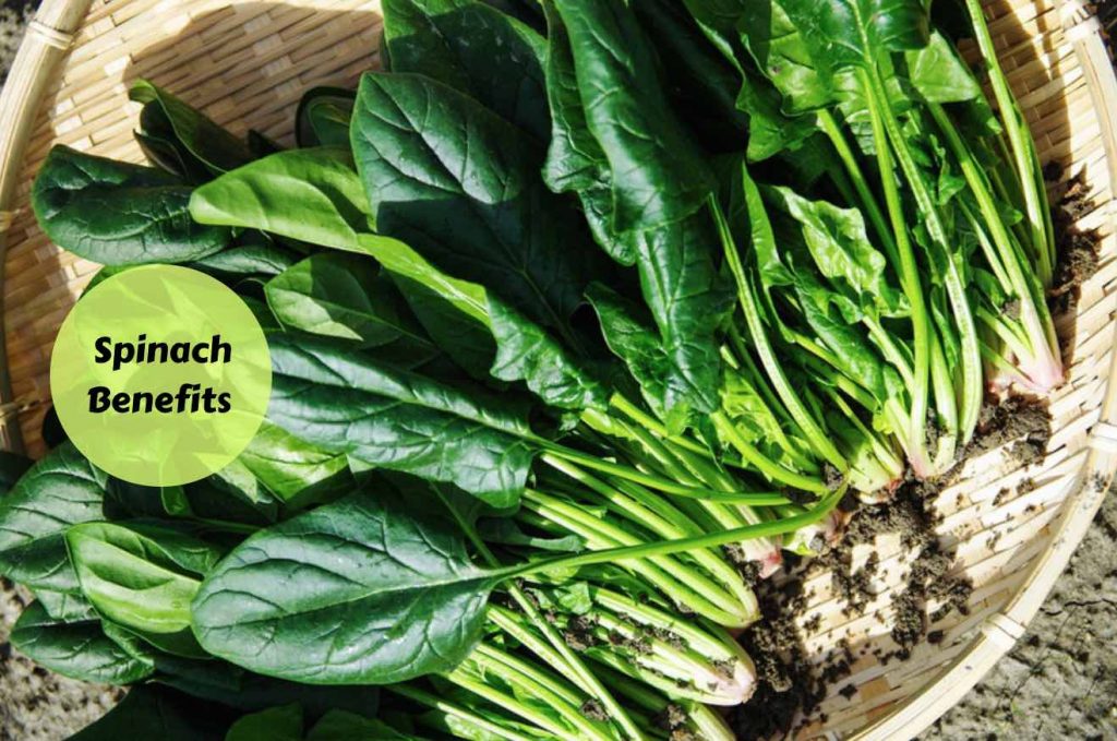 the benefits of spinach