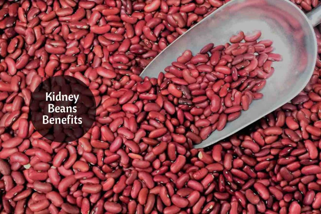 Benefits Of Kidney Beans Ayurvedum