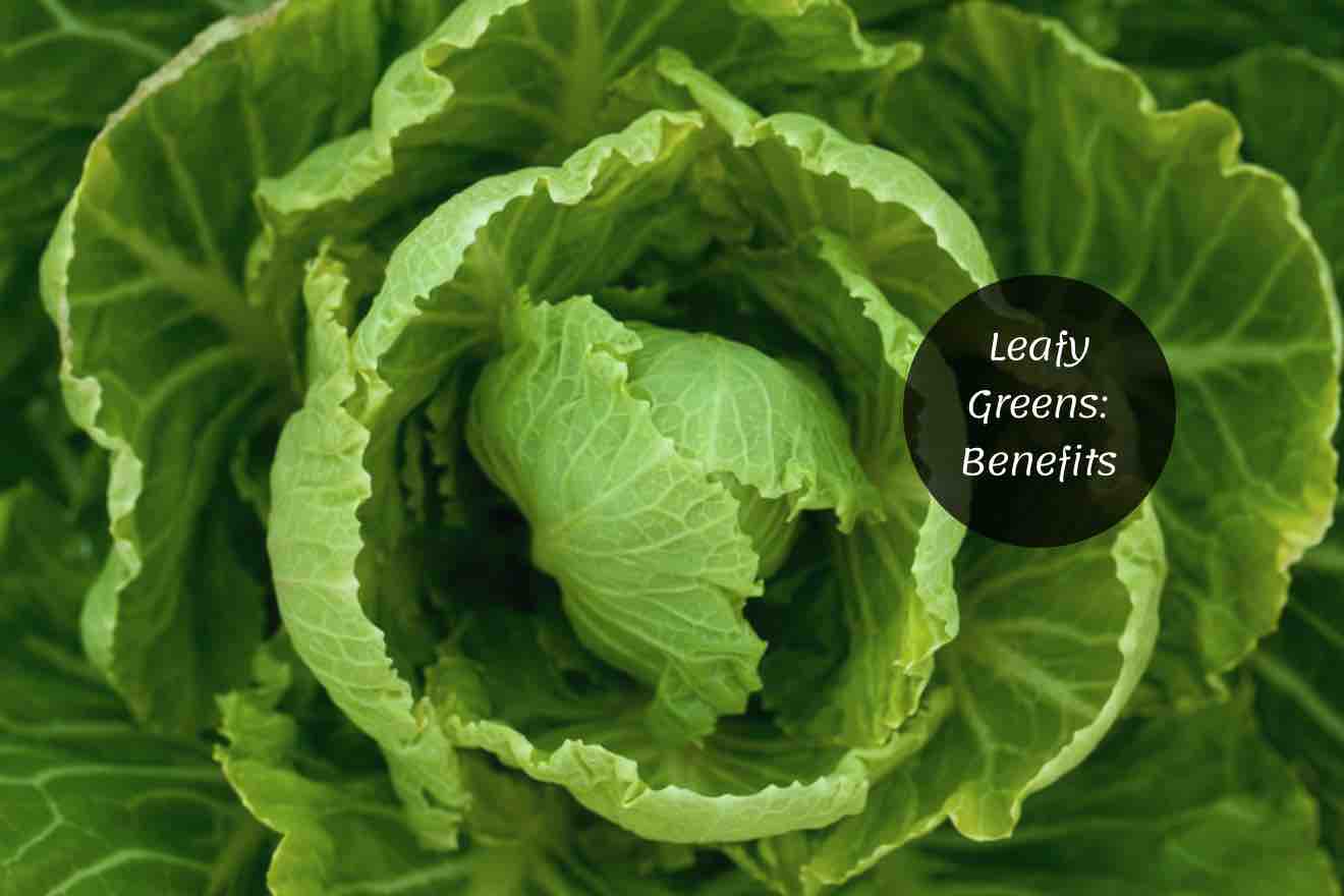 Leafy Greens Why Ayurvedic Experts Them