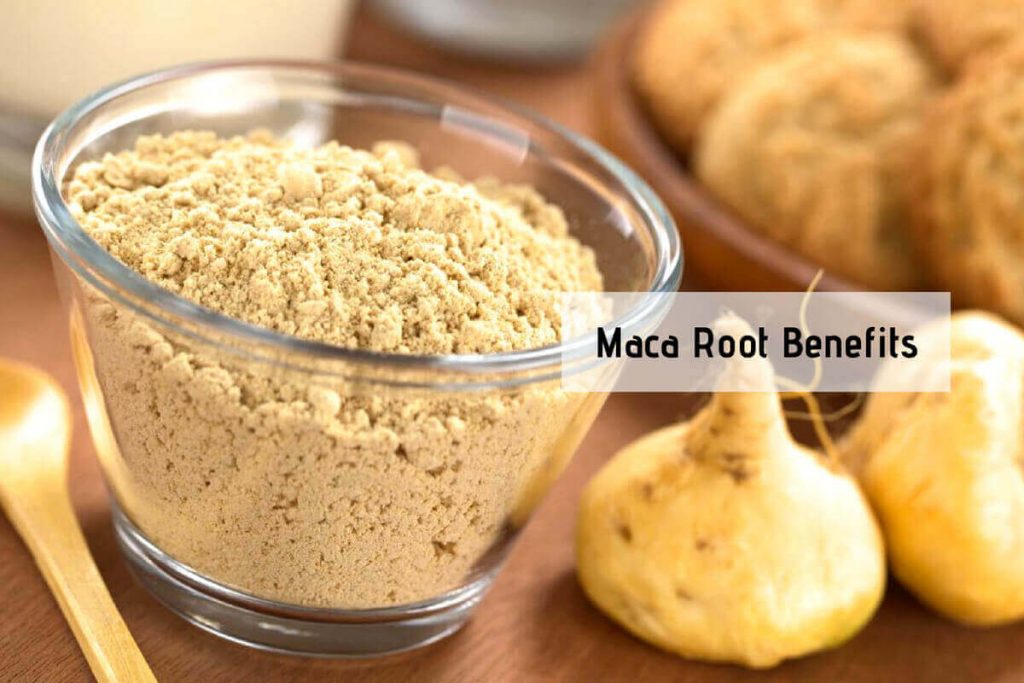 Maca Benefits _ Ayurvedum