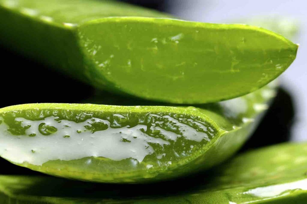 how to get rid of dark spots fast aloe