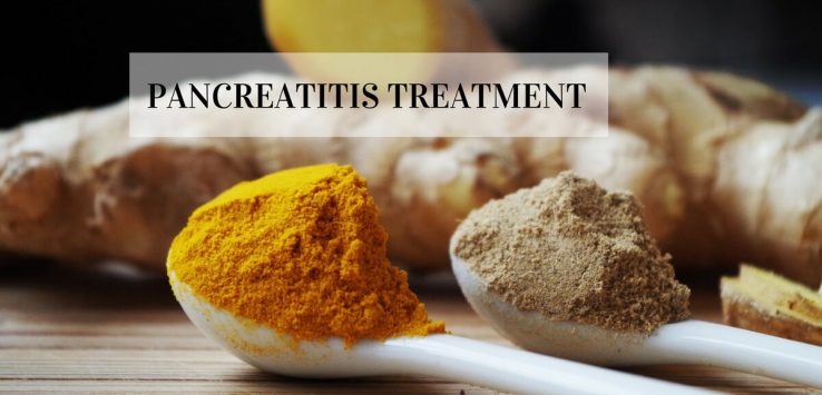 Pancreatitis treatment _ Ayurvedum