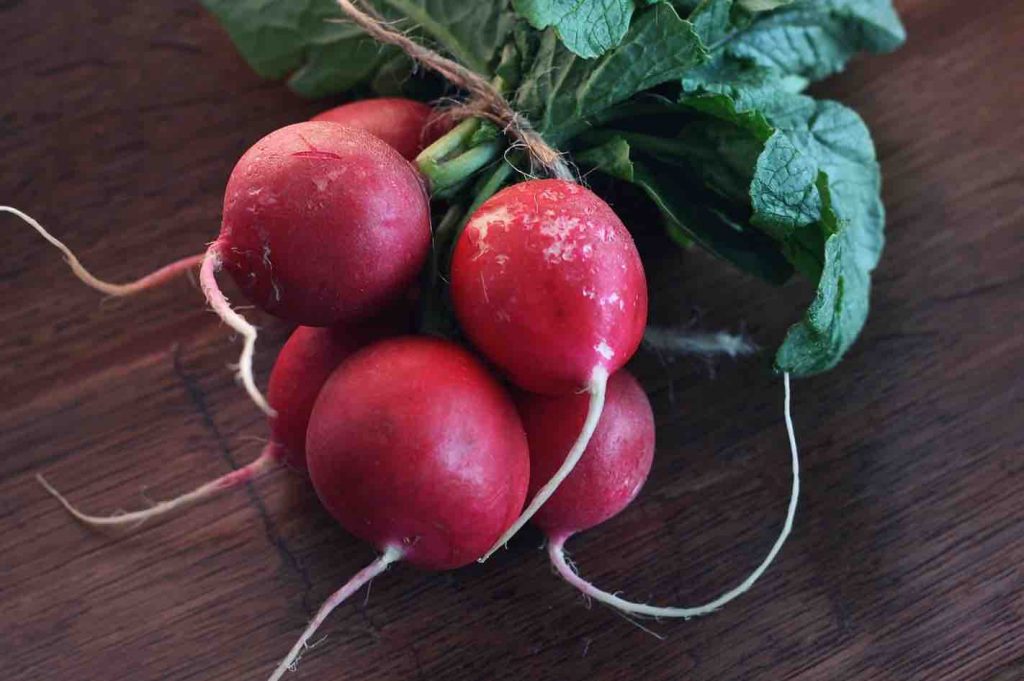 the health benefits of radishes