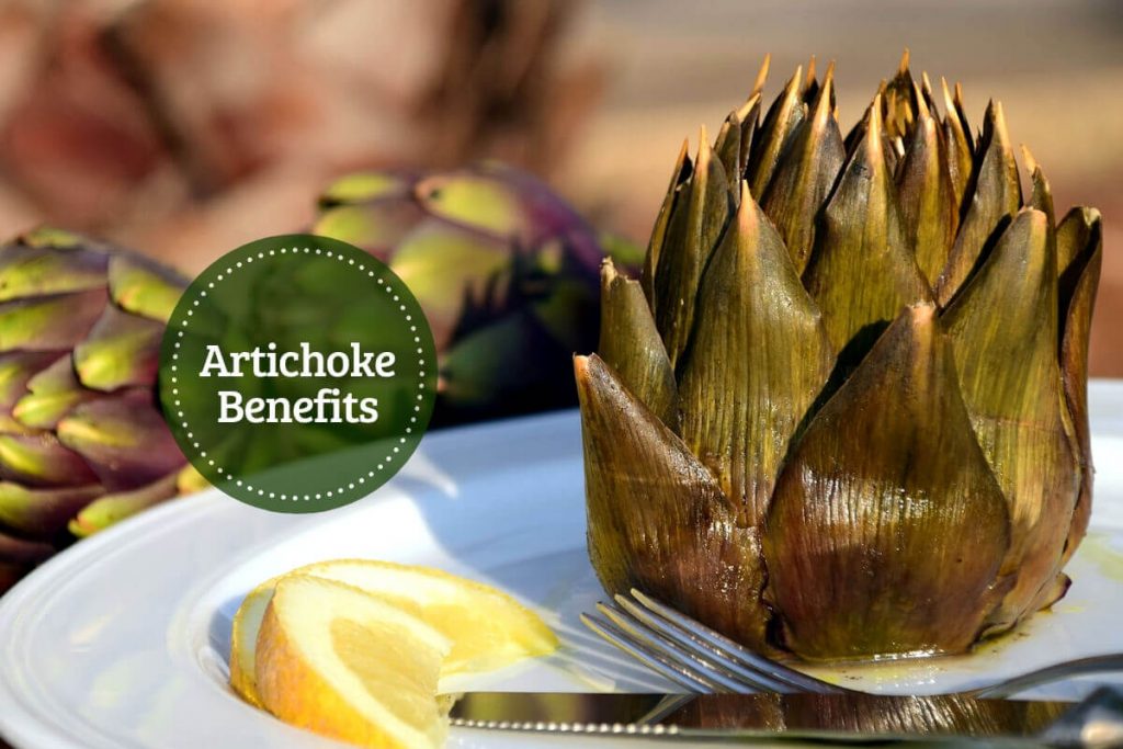 Artichoke nutrition _ Ayurvedum