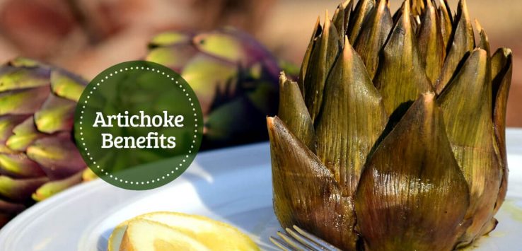 Artichoke nutrition _ Ayurvedum