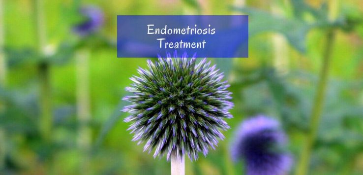 What is Endometriosis _ Ayurvedum