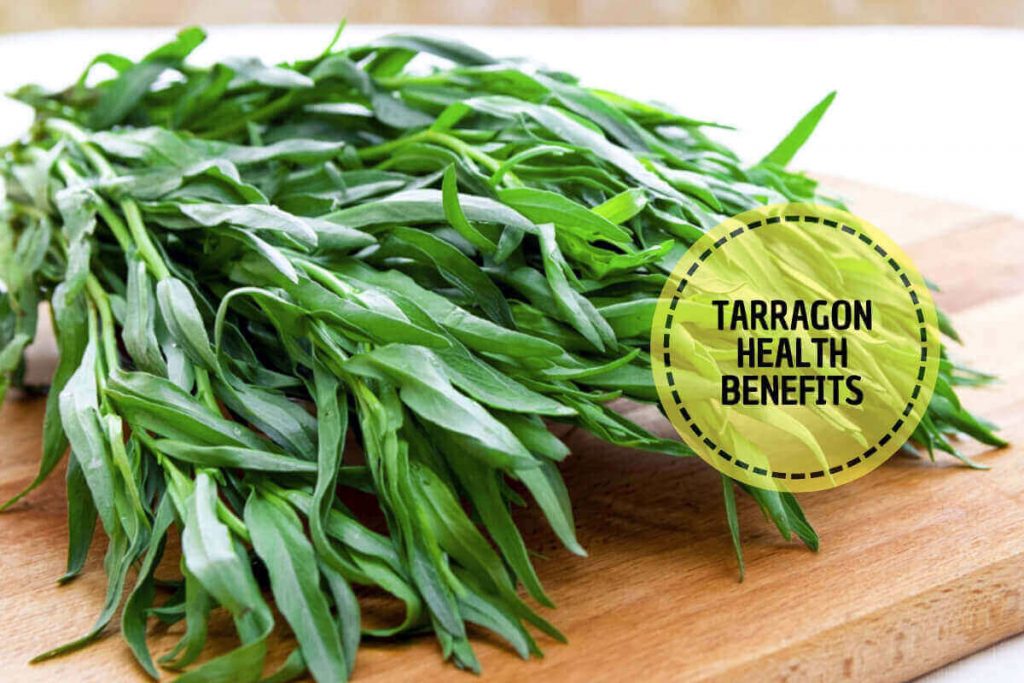 What is Tarragon _ Ayurvedum