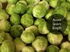 brussel sprouts benefits