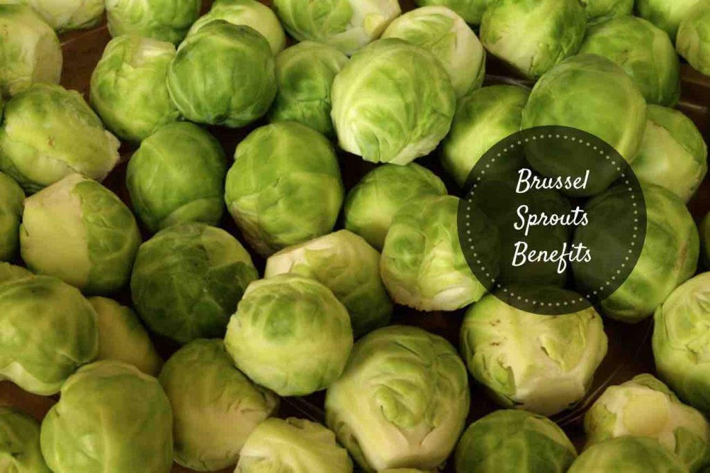 brussel sprouts benefits