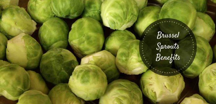 brussel sprouts benefits