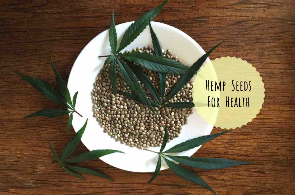 hemp seeds