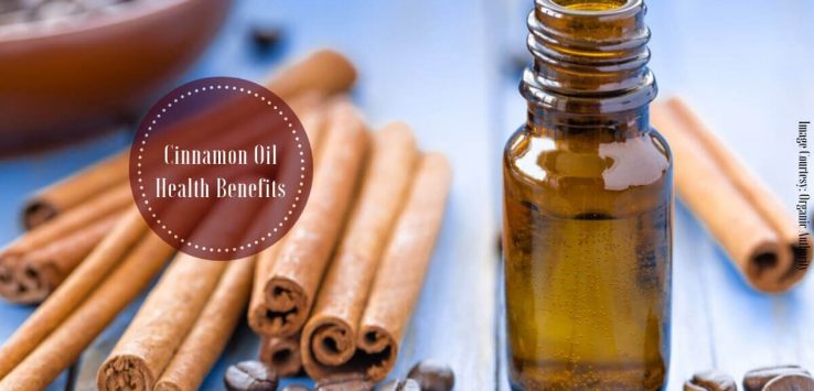 Cinnamon Oil _ Ayurvedum