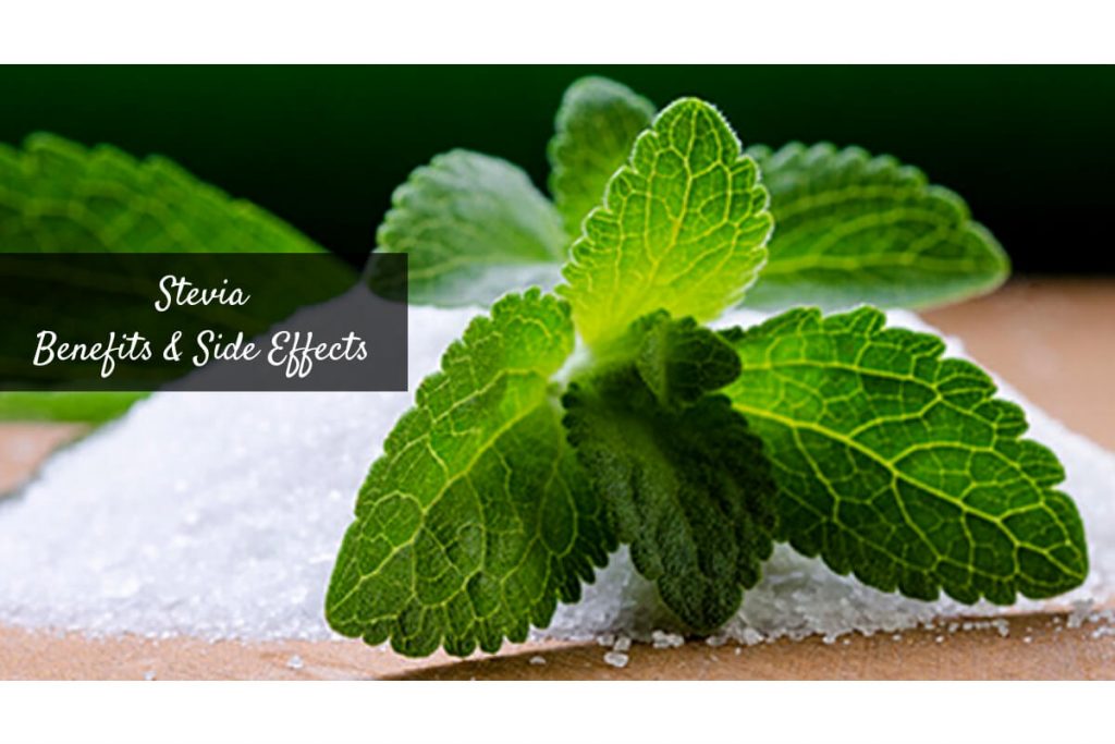 Is stevia safe _ Ayurvedum